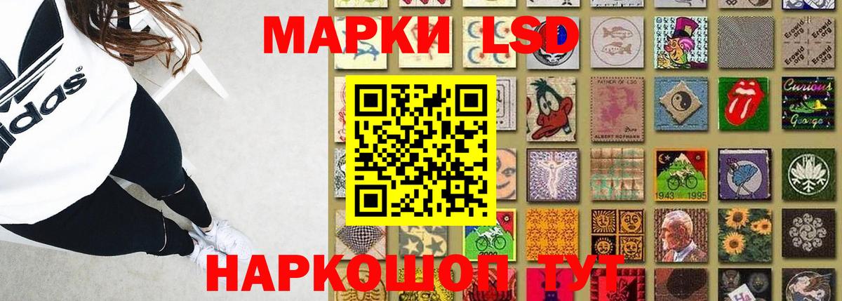Лсд 25 экстази кислота  Вход с VPN  Курчалой 