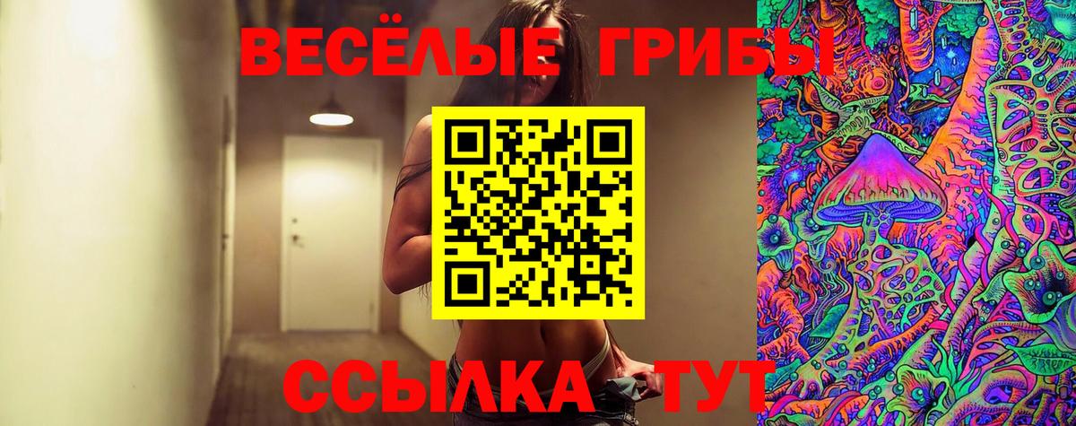 Псилоцибиновые грибы Psilocybe  Галлюциногенные грибы прущие грибы  где найти наркотики  Курчалой  Вход с VPN 